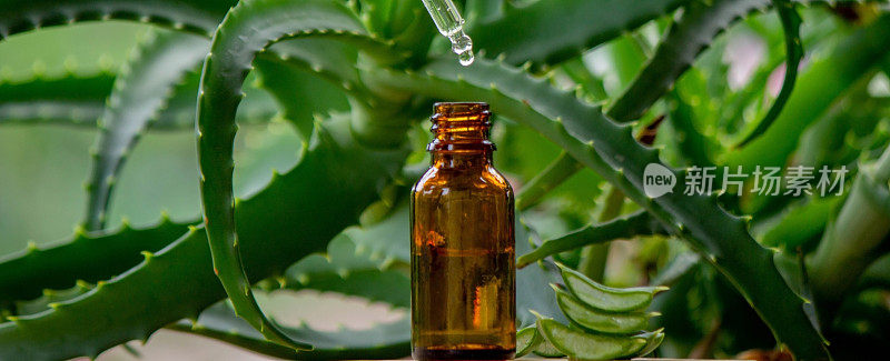 aloe vera essential oil on a wooden background, juice.